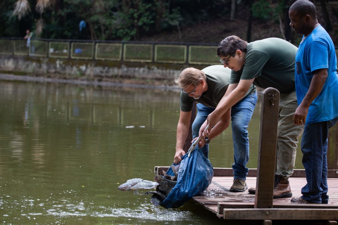 projeto ‘pesque e não pague’ do zoo volta redonda recebe reforço de mais 200 quilos de tilápia cris oliveira secom11