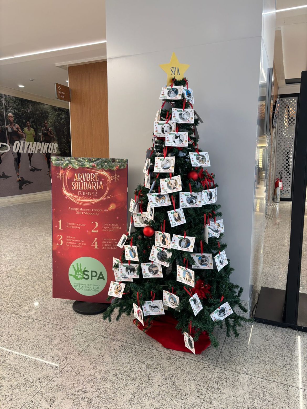 sider shopping lança campanha Árvores solidárias para ajudar divulgaÇÃo
