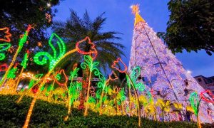 vila noel divulgação pmar