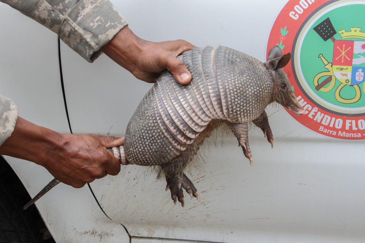 whatsapp image 2025 11 06 at 11.19.57 (1)