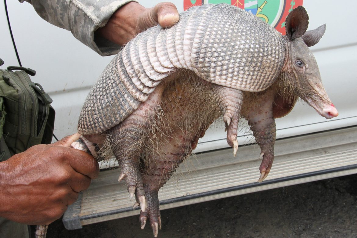 whatsapp image 2025 11 06 at 11.19.57