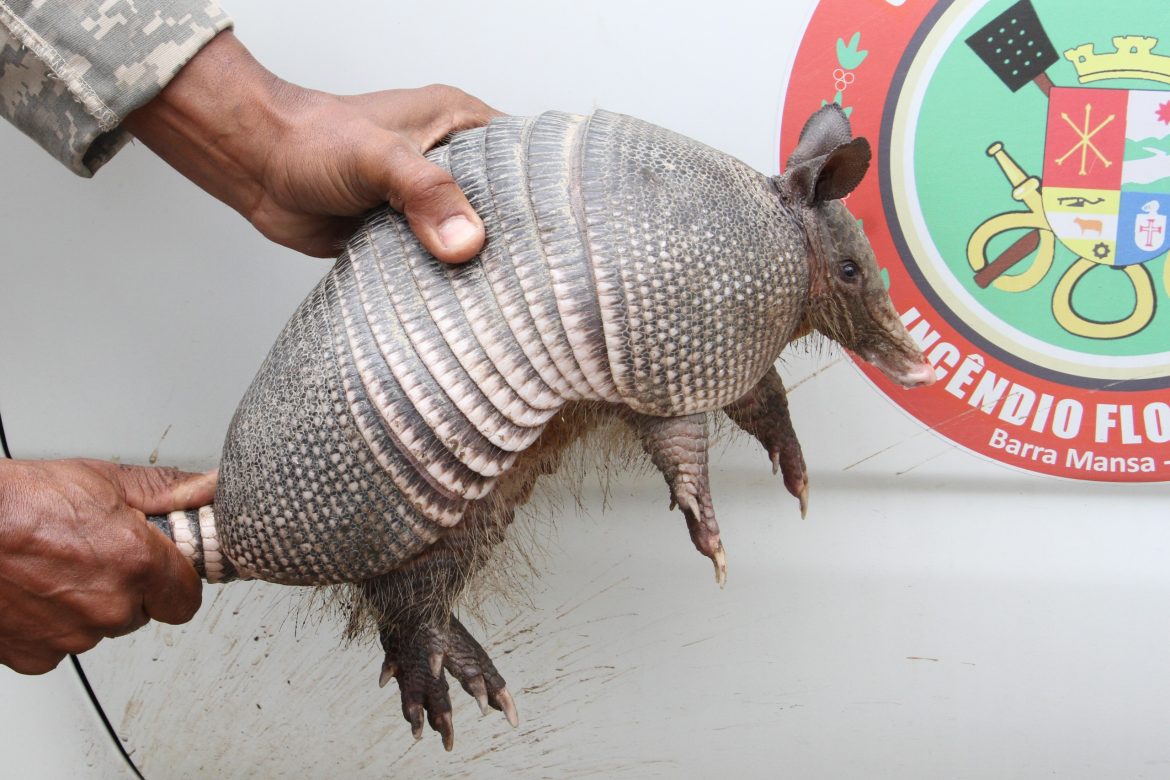 whatsapp image 2025 11 06 at 11.19.58