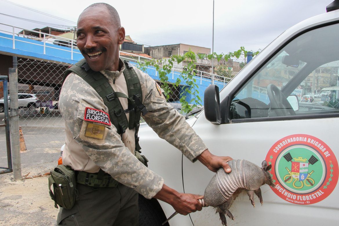 whatsapp image 2025 11 06 at 11.19.59