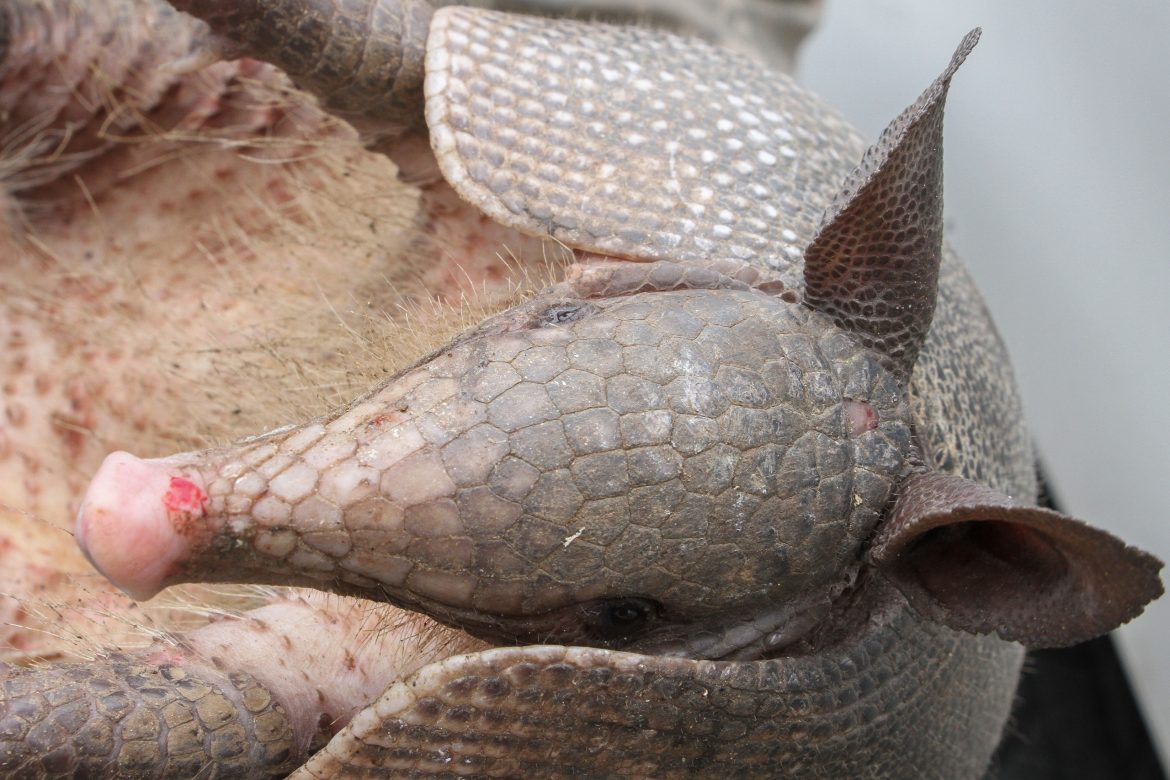 whatsapp image 2025 11 06 at 11.20.00 (1)