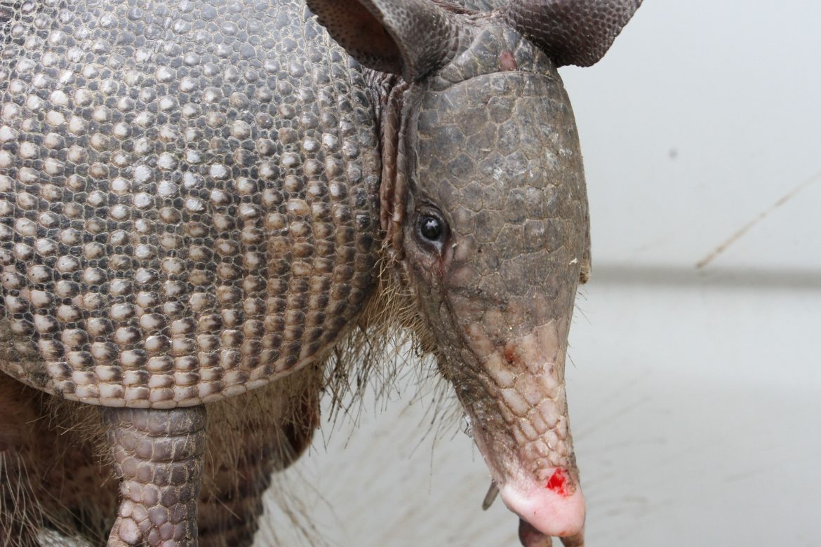 whatsapp image 2025 11 06 at 11.20.00