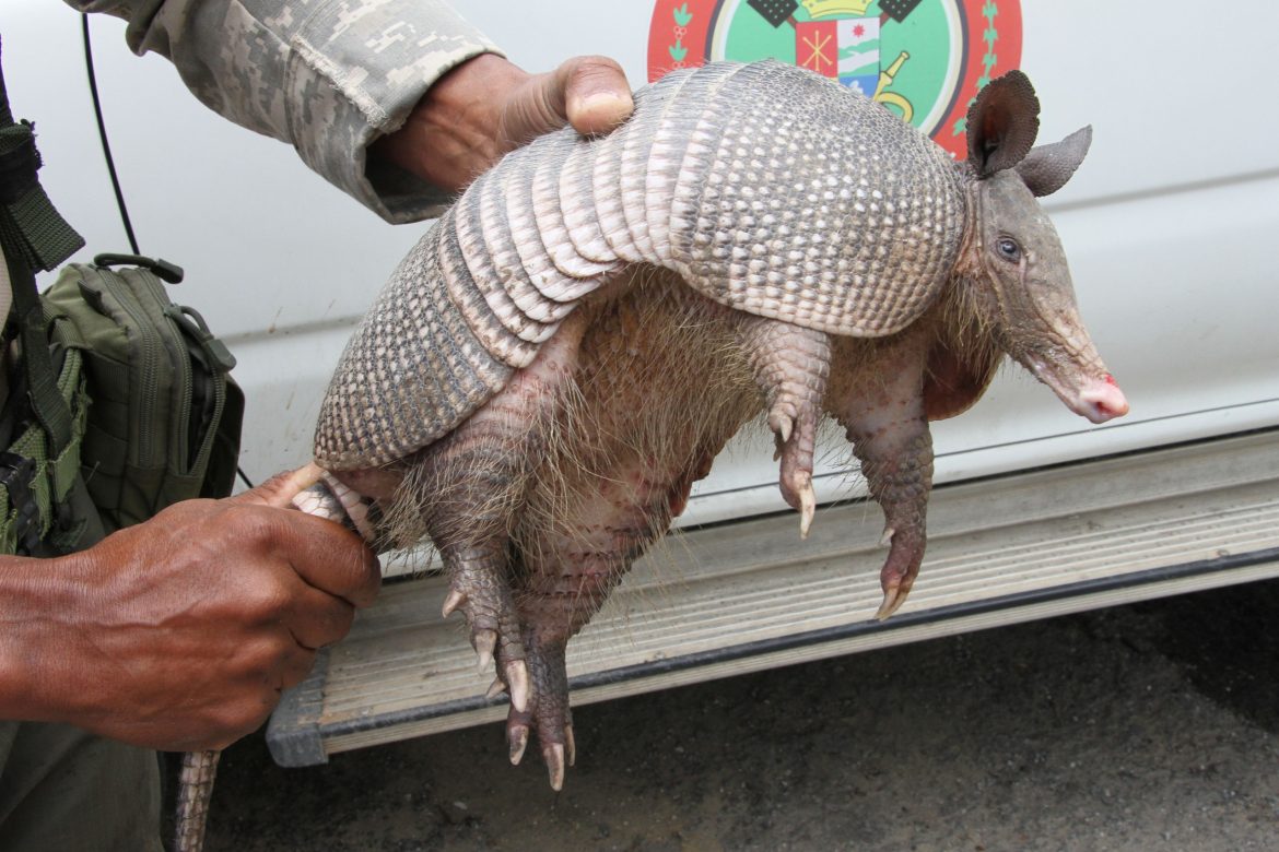 whatsapp image 2025 11 06 at 11.20.01