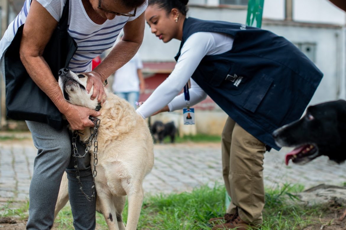 whatsapp image 2025 11 10 at 15.19.30