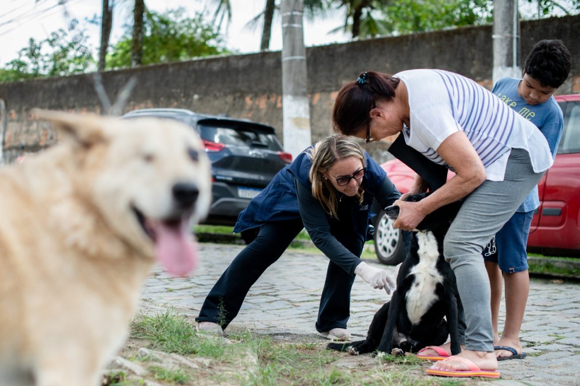 whatsapp image 2025 11 10 at 15.19.31