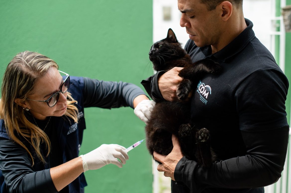 whatsapp image 2025 11 10 at 15.19.32