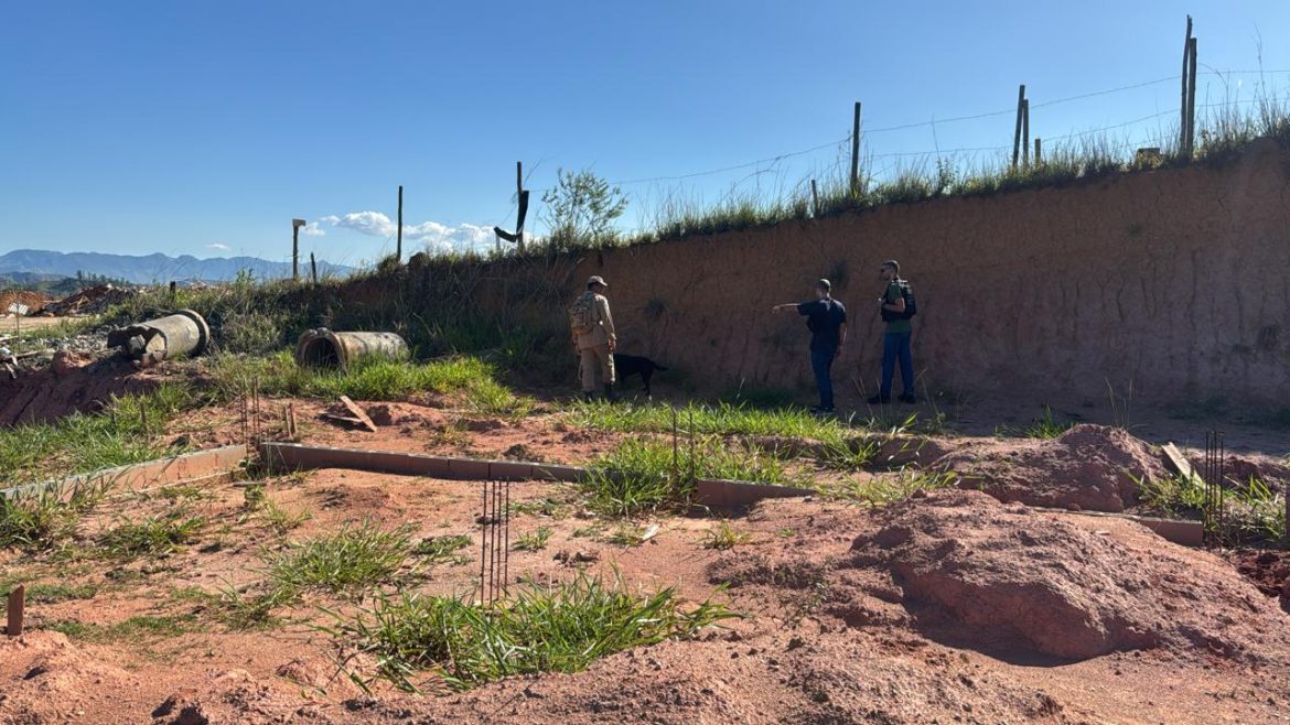 whatsapp image 2025 11 12 at 18.12.06 whatsapp image 2025 11 12 at 18.12.06