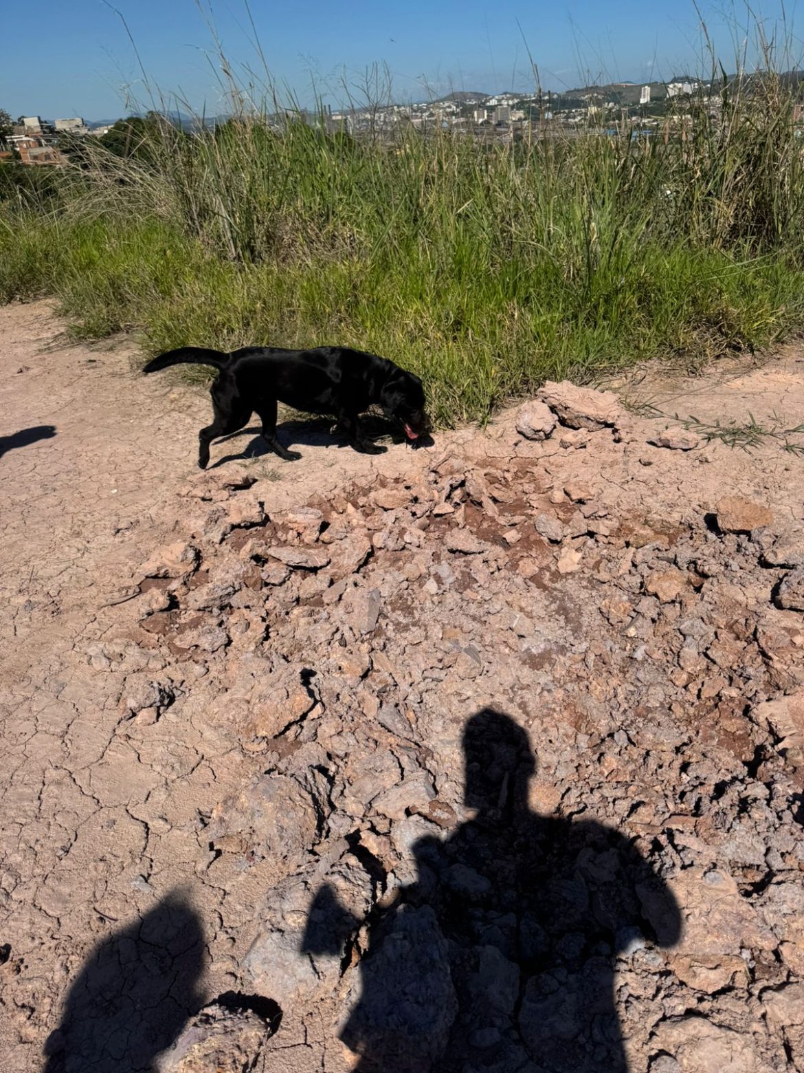 whatsapp image 2025 11 12 at 18.12.07 (1) whatsapp image 2025 11 12 at 18.12.07 (1)