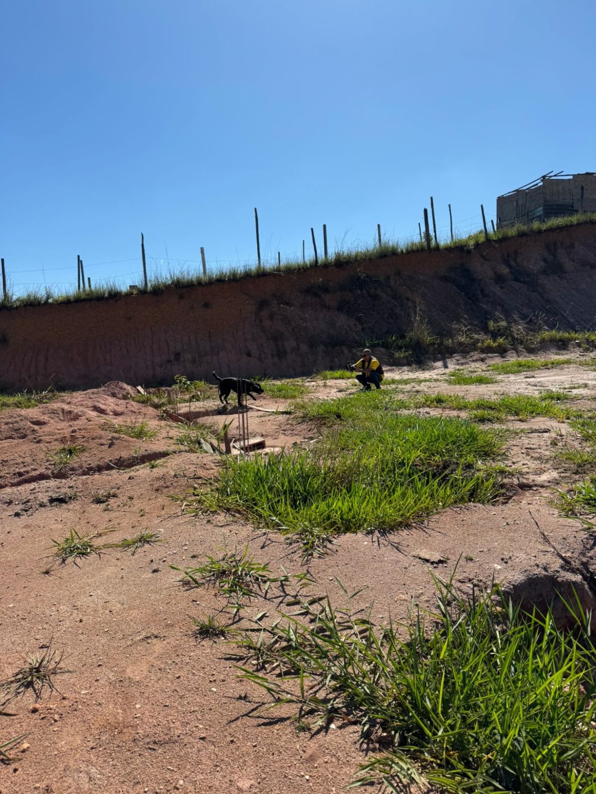 whatsapp image 2025 11 12 at 18.12.08 whatsapp image 2025 11 12 at 18.12.08