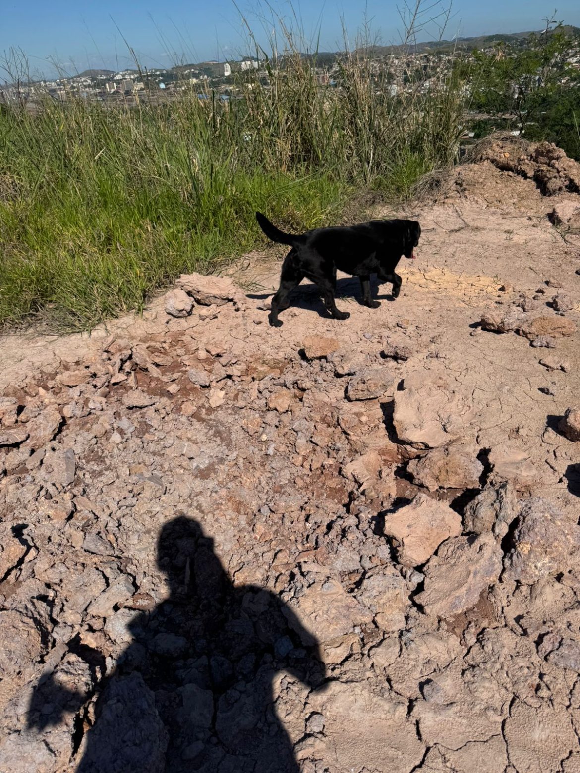 whatsapp image 2025 11 12 at 18.12.08 (2) whatsapp image 2025 11 12 at 18.12.08 (2)