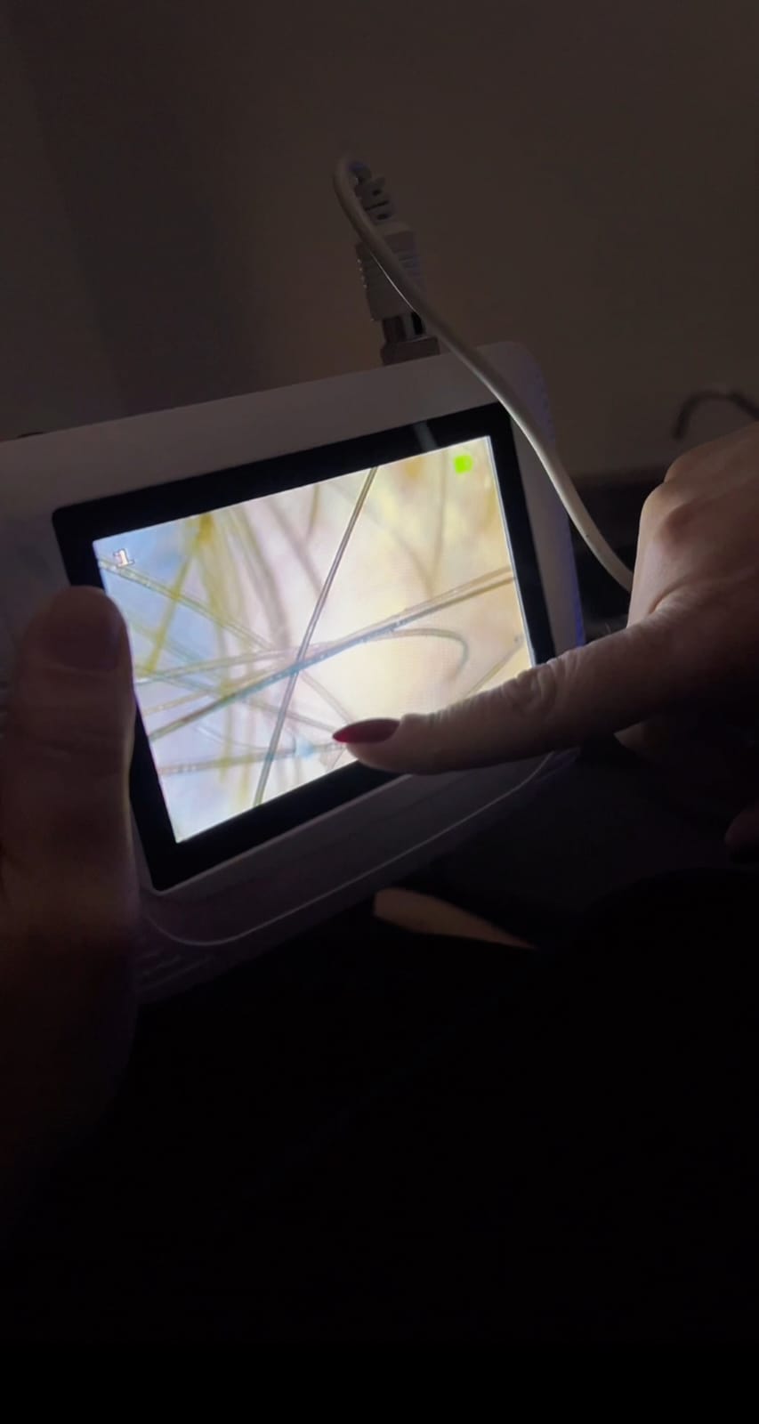 whatsapp image 2025 11 13 at 11.42.12 whatsapp image 2025 11 13 at 11.42.12