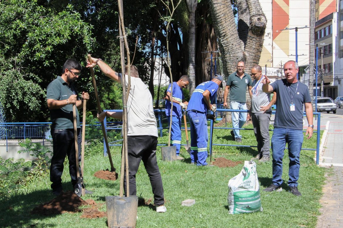 29.cf.res.cidades.plantio de ipês amarelos.2.mudas.chicodeassispmbm (3)