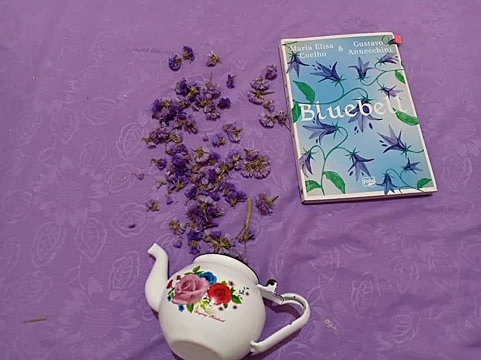 45.cf.res.cidades.maria elisa coelho lança romance.2.romance.divulgaÇÃo (3)