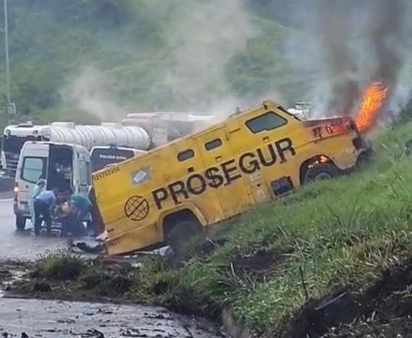 67280636 6199 4bd9 87f9 58a0269566e9