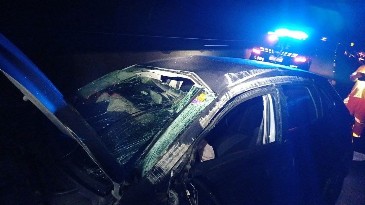 8f579d7f 610b 4071 bb67 2d7e79b53e20