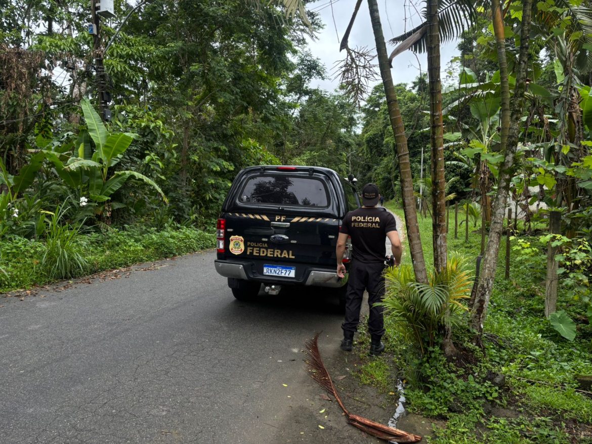 a policia 43 cf pf combate caça ilegal e comércio de animais silvestres em ação coordenada a partir de angra dos reis divulgacao a policia 43 cf pf combate caça ilegal e comércio de animais silvestres em ação coordenada a partir de angra dos reis divulgacao