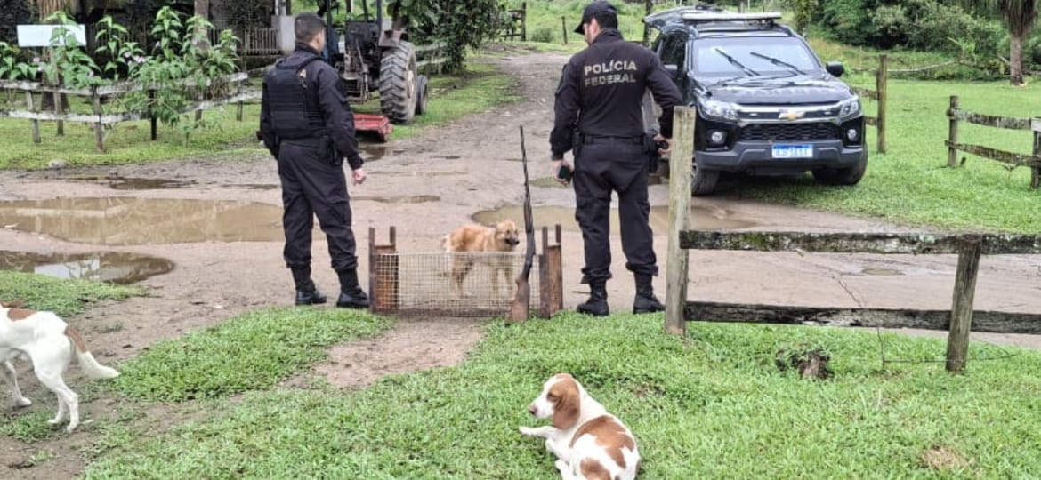 a policia 43 cf pf combate caça ilegal e comércio de animais silvestres em ação coordenada a partir de angra dos reis divulgacao a policia 43 cf pf combate caça ilegal e comércio de animais silvestres em ação coordenada a partir de angra dos reis divulgacao