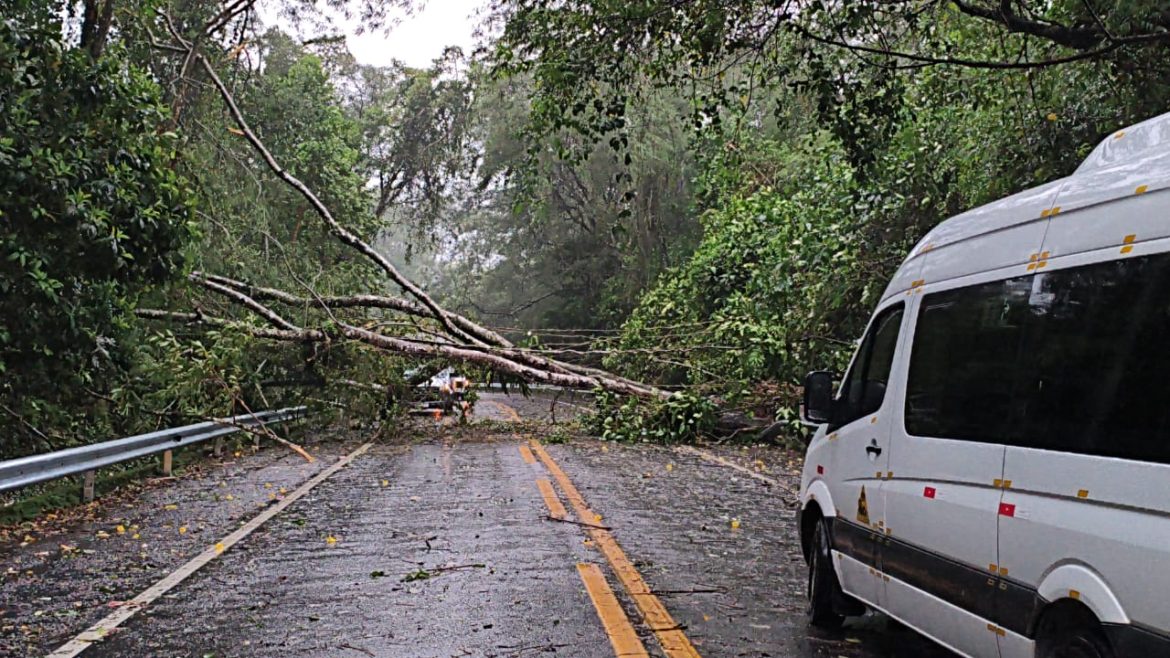chuva forte causa alagamentos, quedas de árvores e transtornos em angra dos reis redes sociais