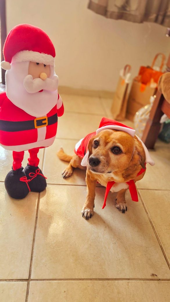 e8ec0db1 6bb1 4cb9 afdc 7fddec73cb5c