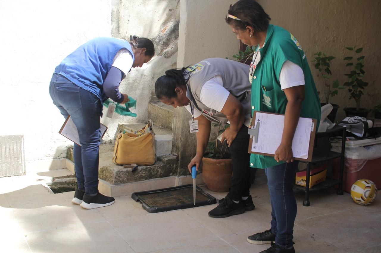 força tarefa no bairro sessenta divulgação adriana cópio pmvr