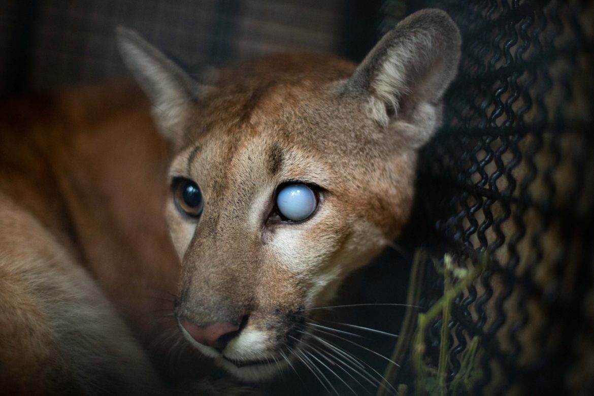 imagem do whatsapp de 2025 12 04 à(s) 17.30.05 7e1be5da