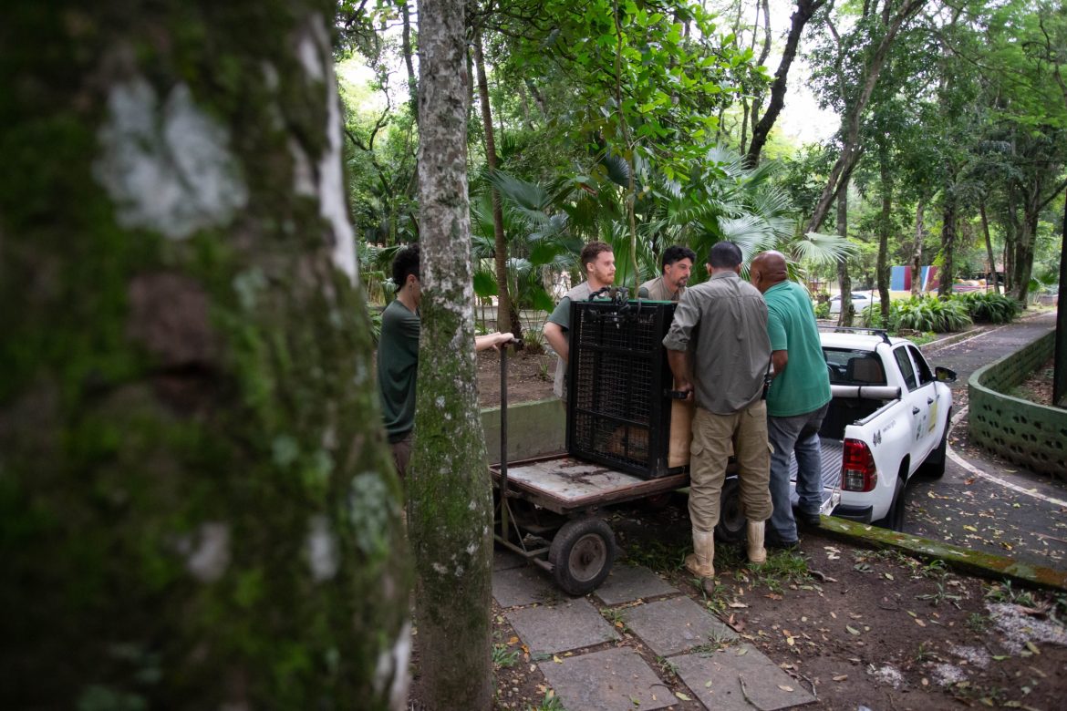 imagem do whatsapp de 2025 12 04 à(s) 17.30.05 f607e0d5