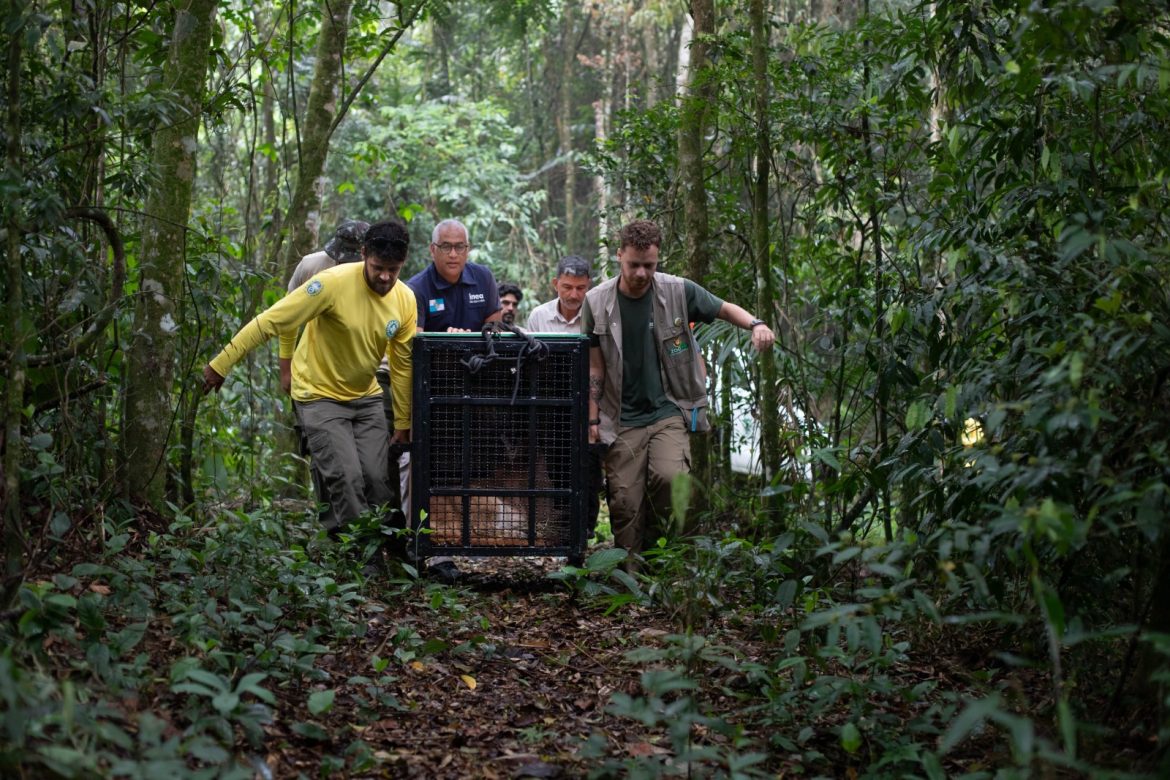 imagem do whatsapp de 2025 12 04 à(s) 17.30.06 4a36cfce