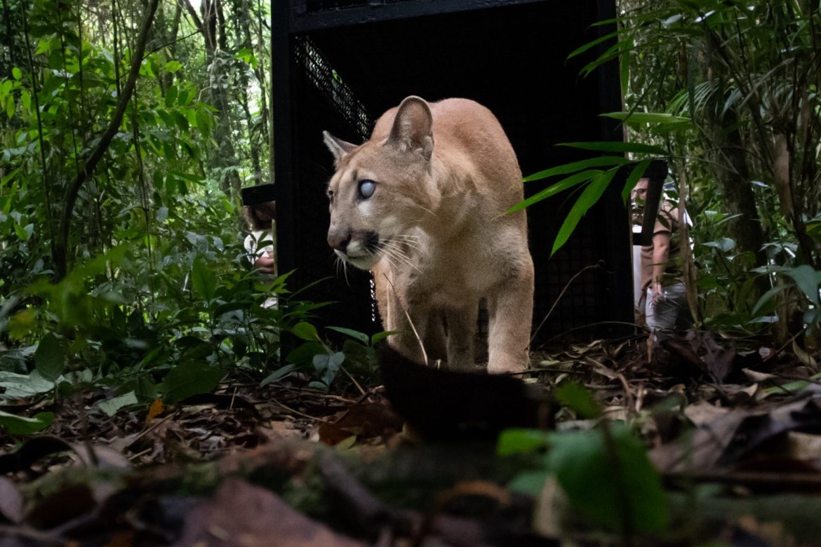 imagem do whatsapp de 2025 12 04 à(s) 17.30.07 e55e96ce