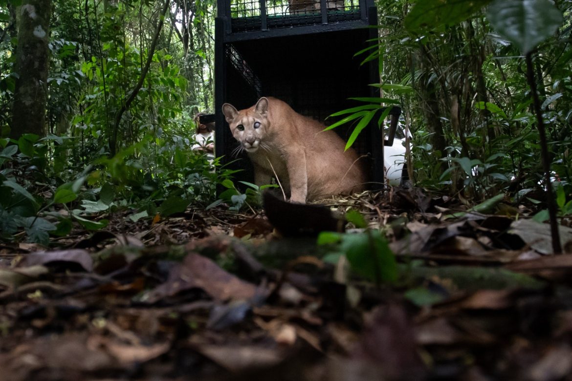 imagem do whatsapp de 2025 12 04 à(s) 17.30.08 e7f85d03