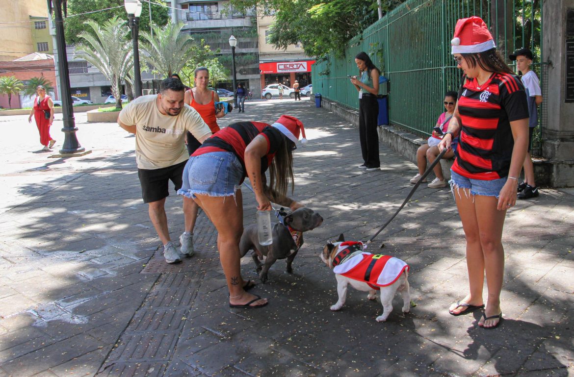 primeira edição do pet noel de barra mansa é um sucesso chico de assis11