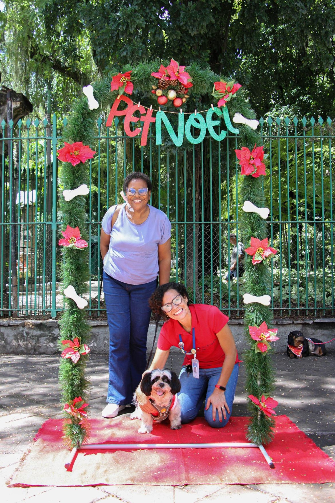 primeira edição do pet noel de barra mansa é um sucesso chico de assis1113