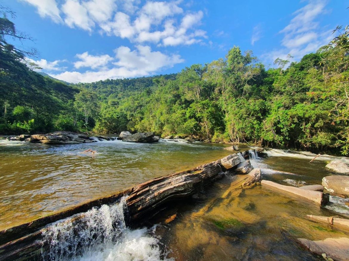 rio claro mantém destaque no icms ecológico e alcança 3º lugar estadual divulgaÇÃo pmrc111