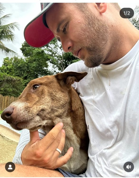 subsecretário do rjpet alerta para os riscos dos fogos de artifício ruidosos nas festas divulgação