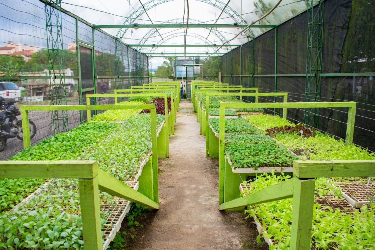 um fato na foto divulgação pmpr