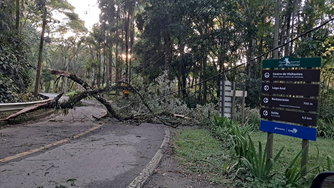 ventania derruba árvores no parque nacional do itatiaia divulgação redes sociais