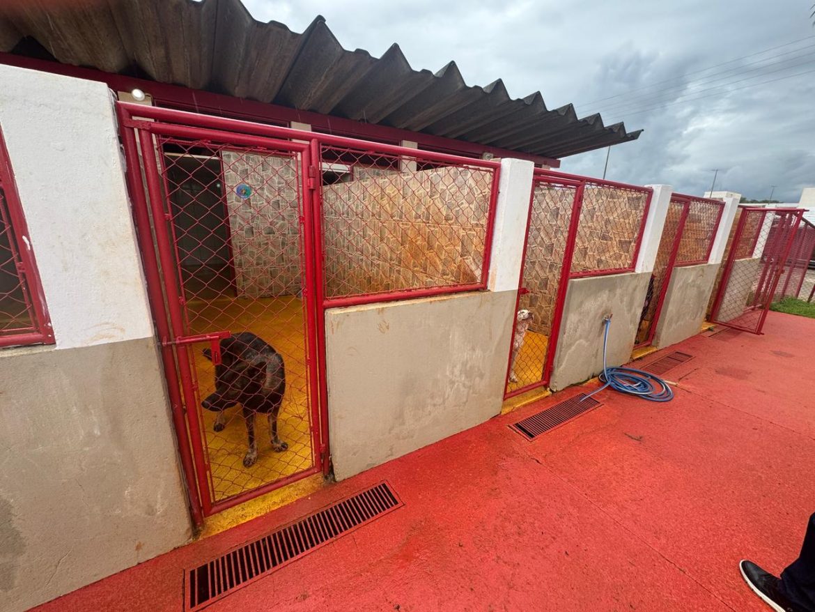 volta redonda amplia políticas de inclusão com parceria para projeto de cão guia divulgação secom