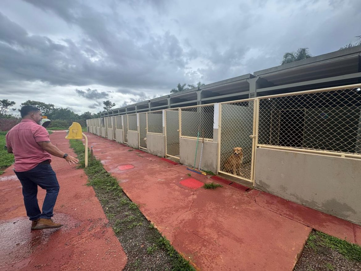 volta redonda amplia políticas de inclusão com parceria para projeto de cão guia divulgação secom111 volta redonda amplia políticas de inclusão com parceria para projeto de cão guia divulgação secom111