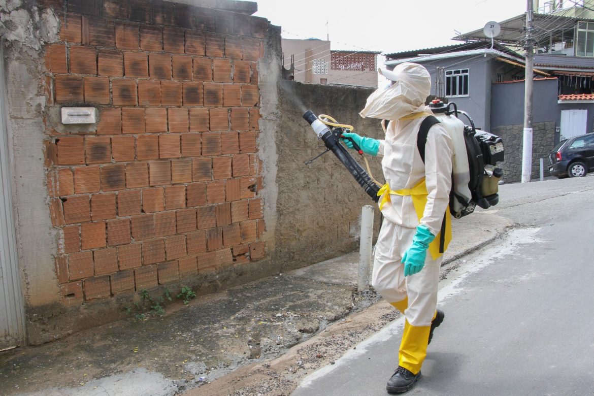 whatsapp image 2025 12 04 at 15.42.29 (1)