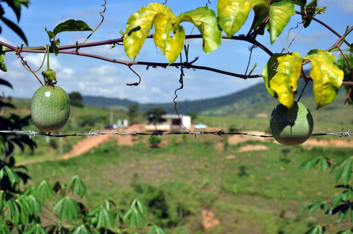 whatsapp image 2025 12 08 at 15.31.22