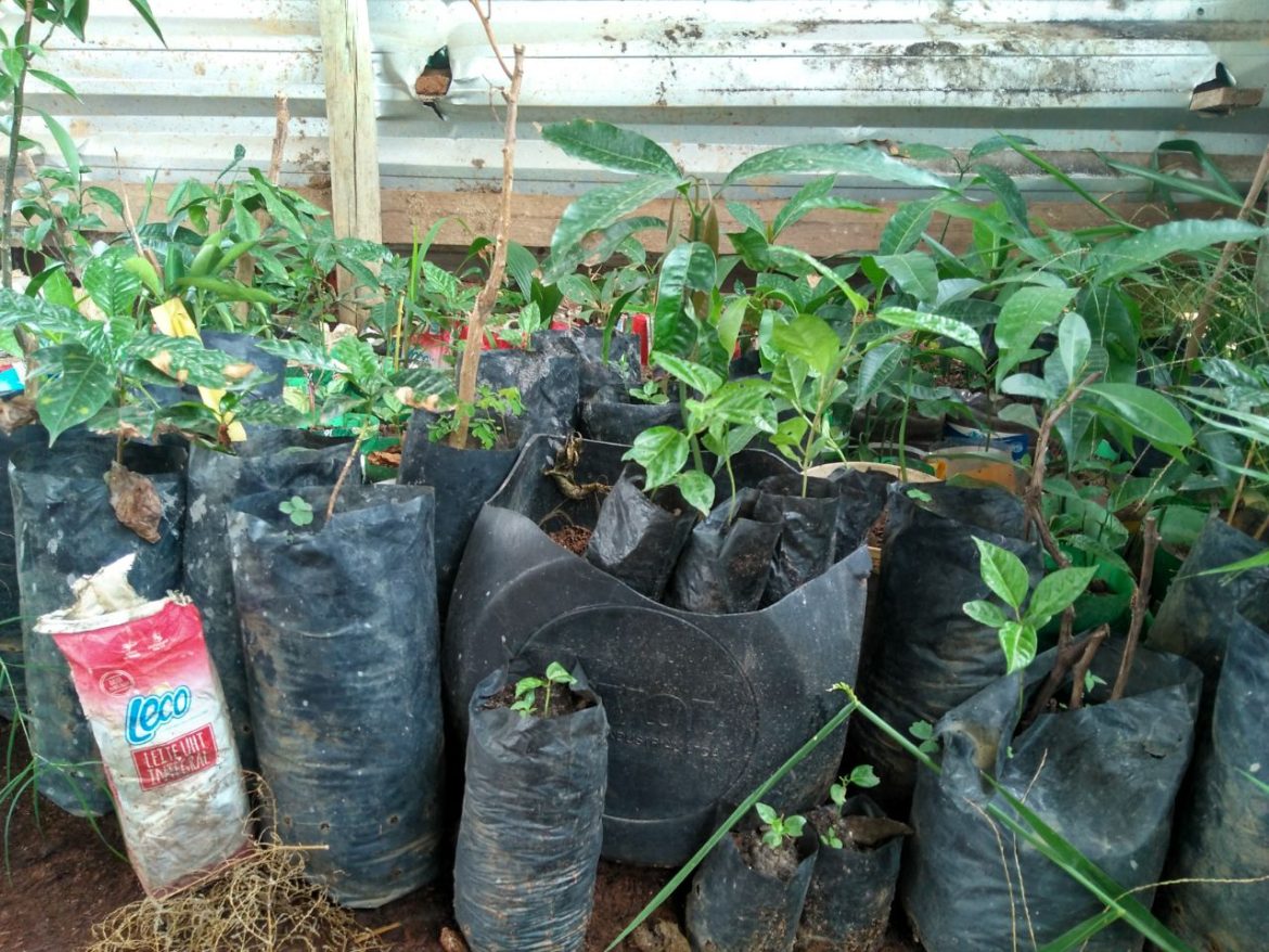 whatsapp image 2025 12 08 at 15.31.24 (1)