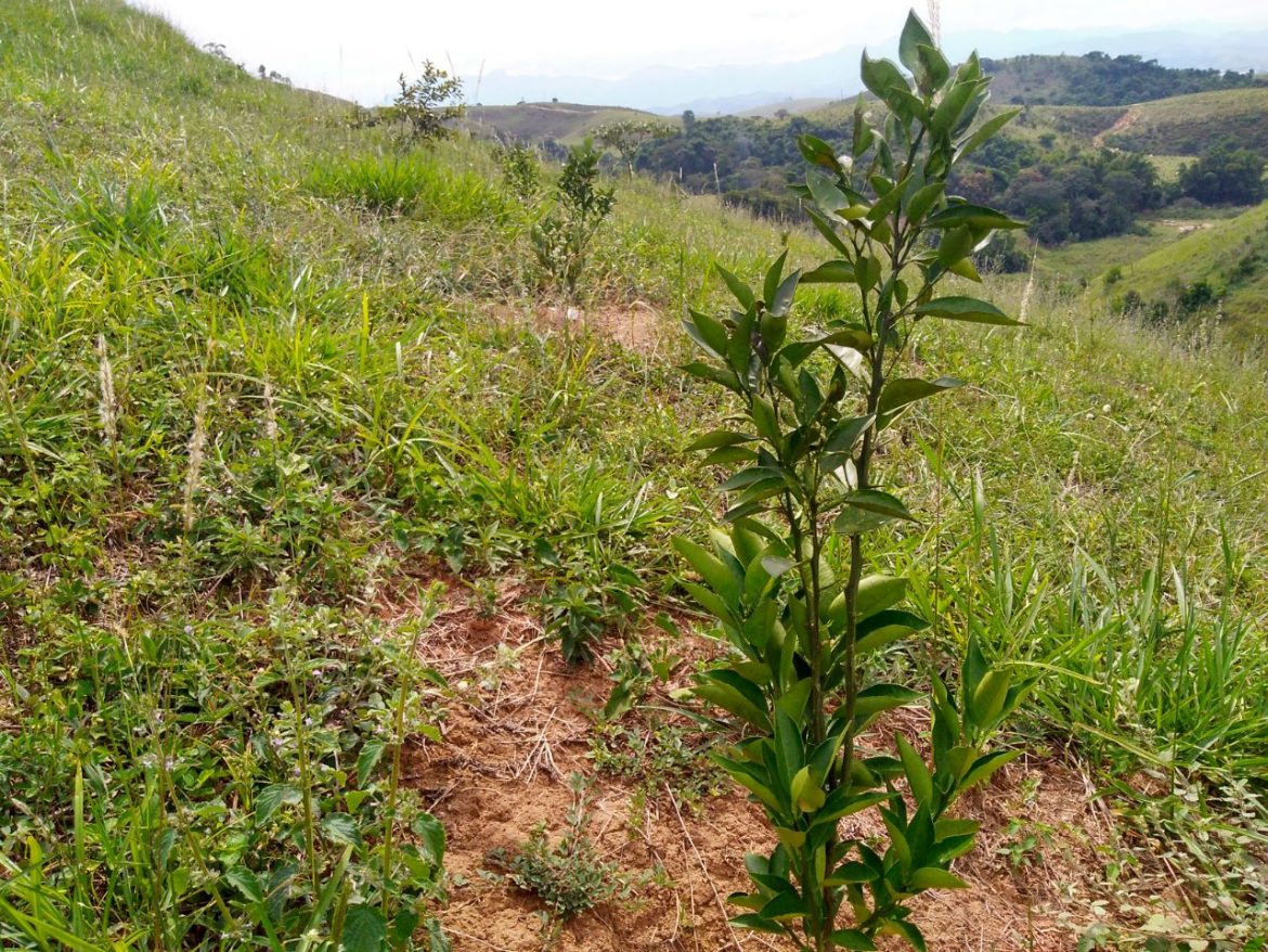 whatsapp image 2025 12 08 at 15.31.24