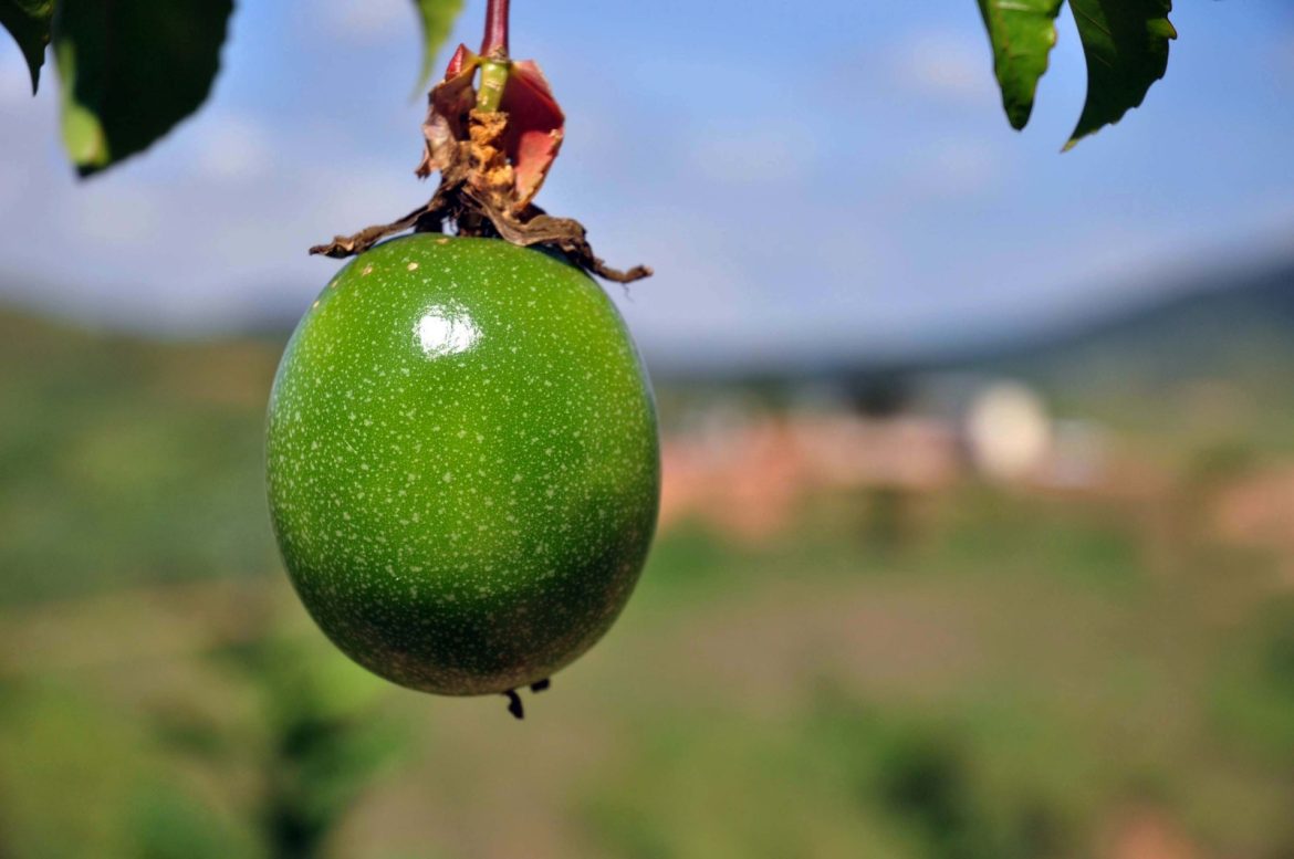 whatsapp image 2025 12 08 at 15.31.25 (1)