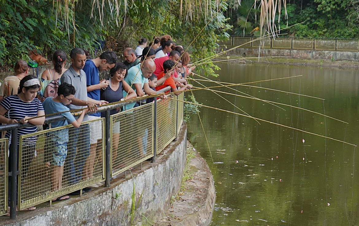 whatsapp image 2025 12 09 at 13.20.06