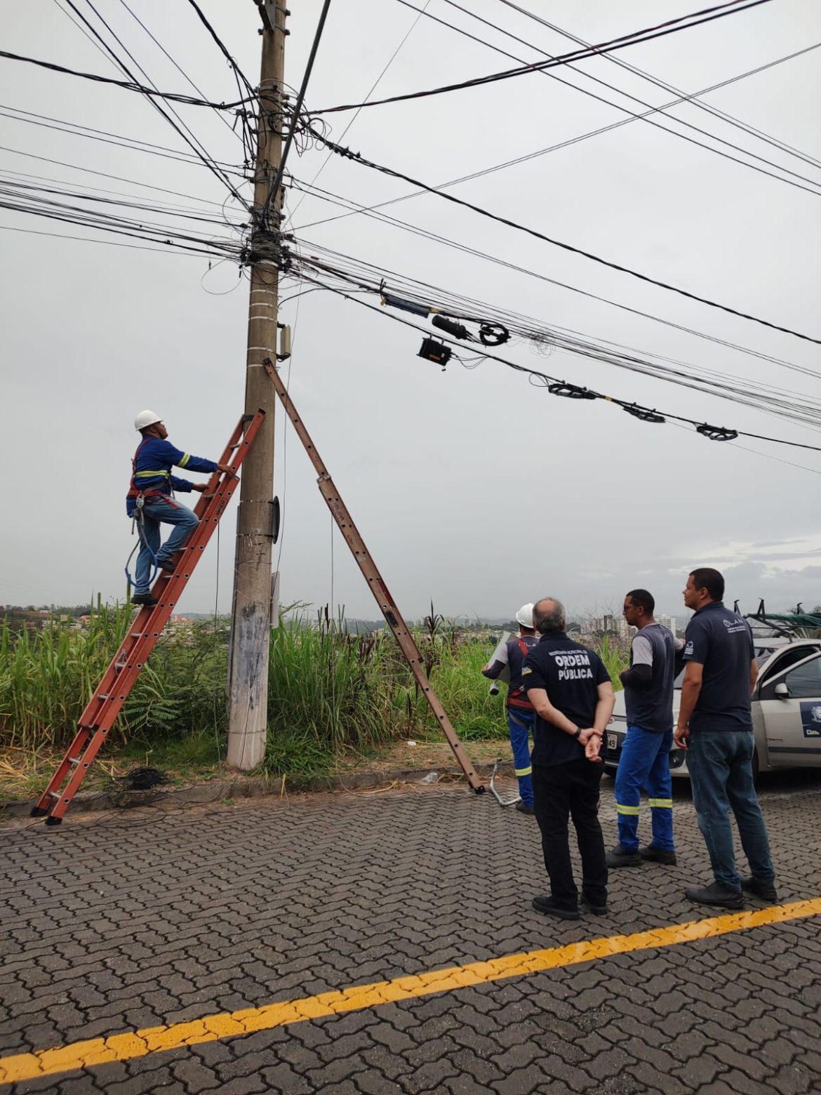 whatsapp image 2025 12 12 at 15.01.17