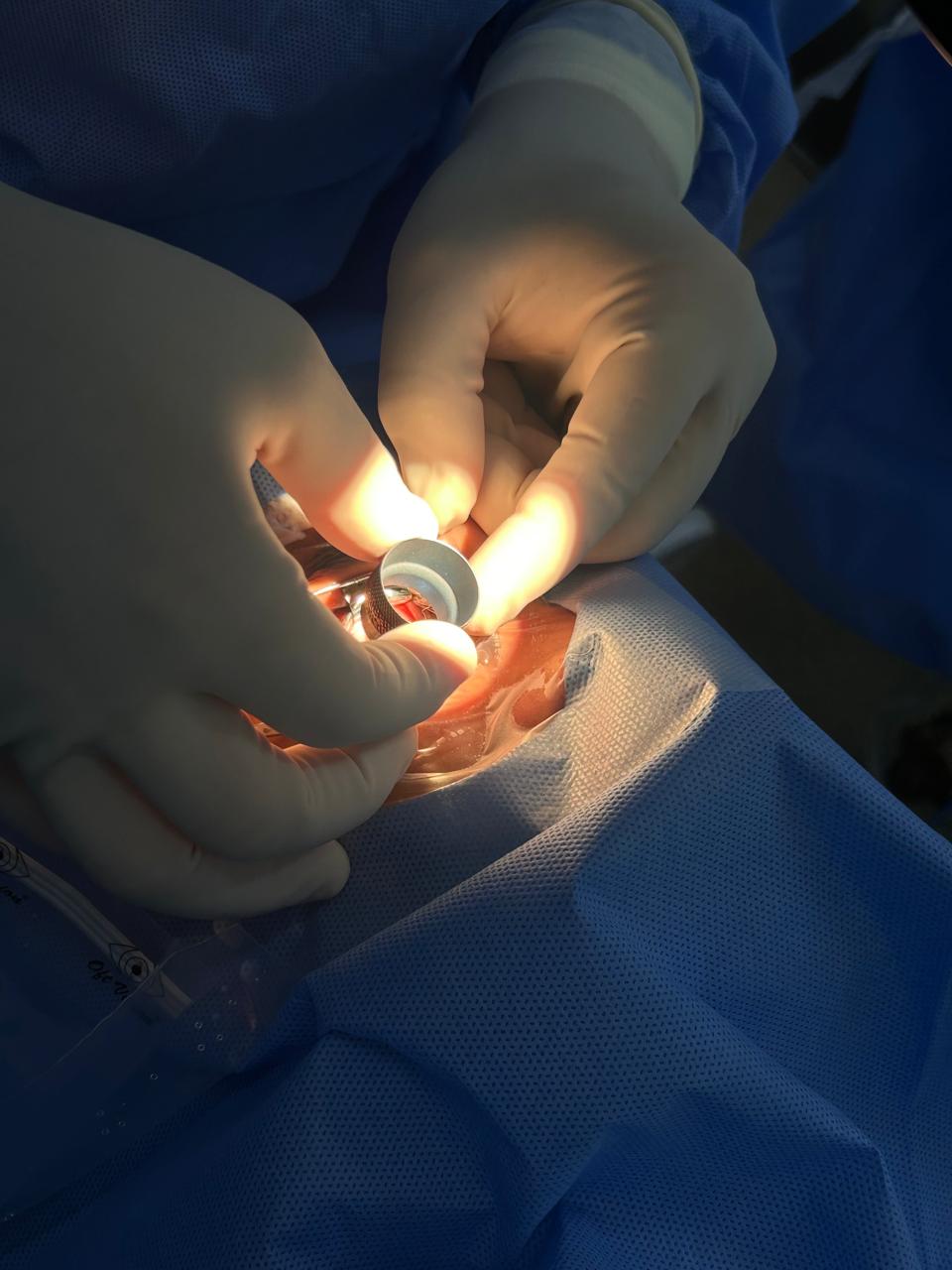 whatsapp image 2025 12 14 at 13.05.47 whatsapp image 2025 12 14 at 13.05.47