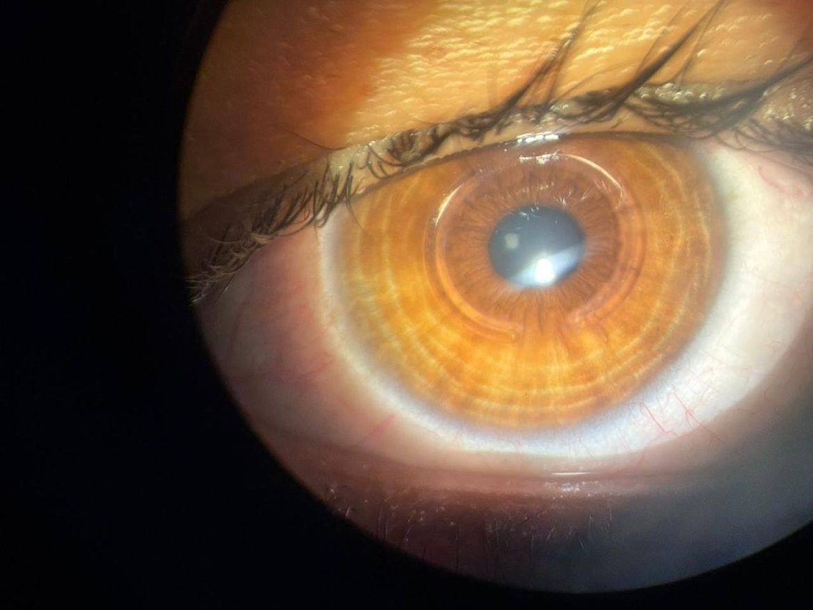 whatsapp image 2025 12 14 at 13.05.48 (1)