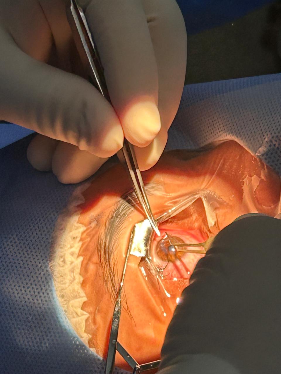 whatsapp image 2025 12 14 at 13.05.48 whatsapp image 2025 12 14 at 13.05.48